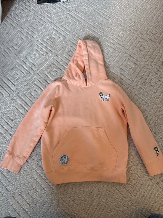 Goat Usa Other - Goat USA Kids Orange Hoodie with Goat Patch